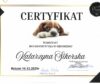 Warsztaty behawiorystyka w groomingu